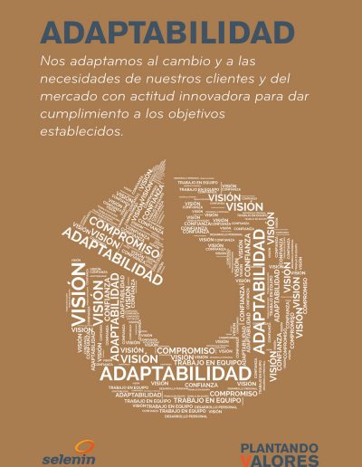 02-adaptabilidad